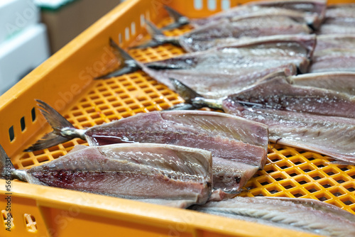 Trimmed mackerel ready for sale in a seafood factory