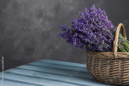 Beautiful fresh lavender flowers in wicker basket on wooden table against grey background. Space for text