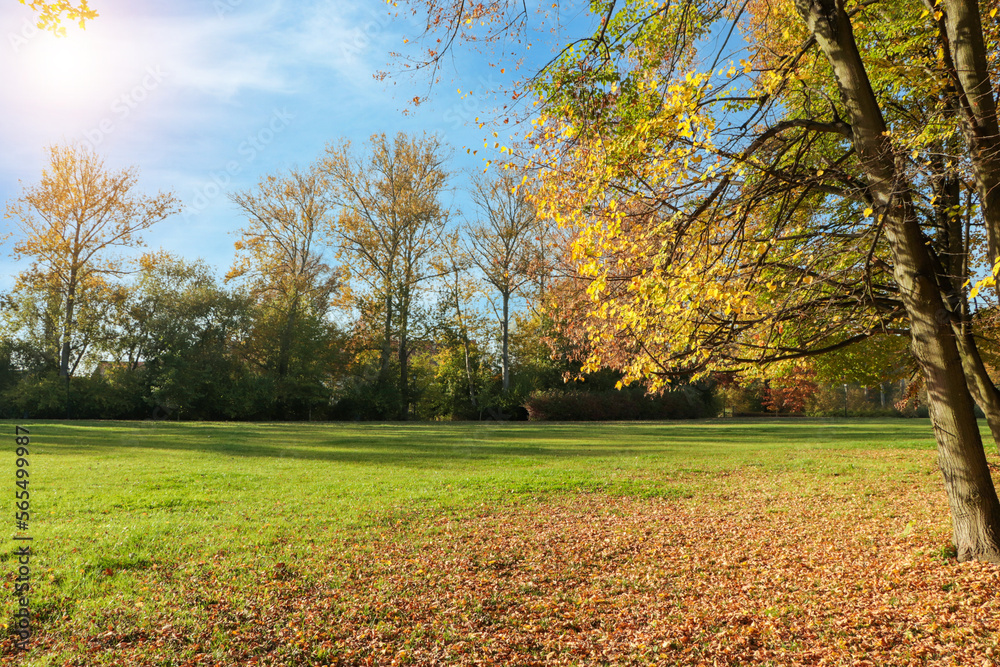 Picturesque view of park with beautiful trees. Autumn season