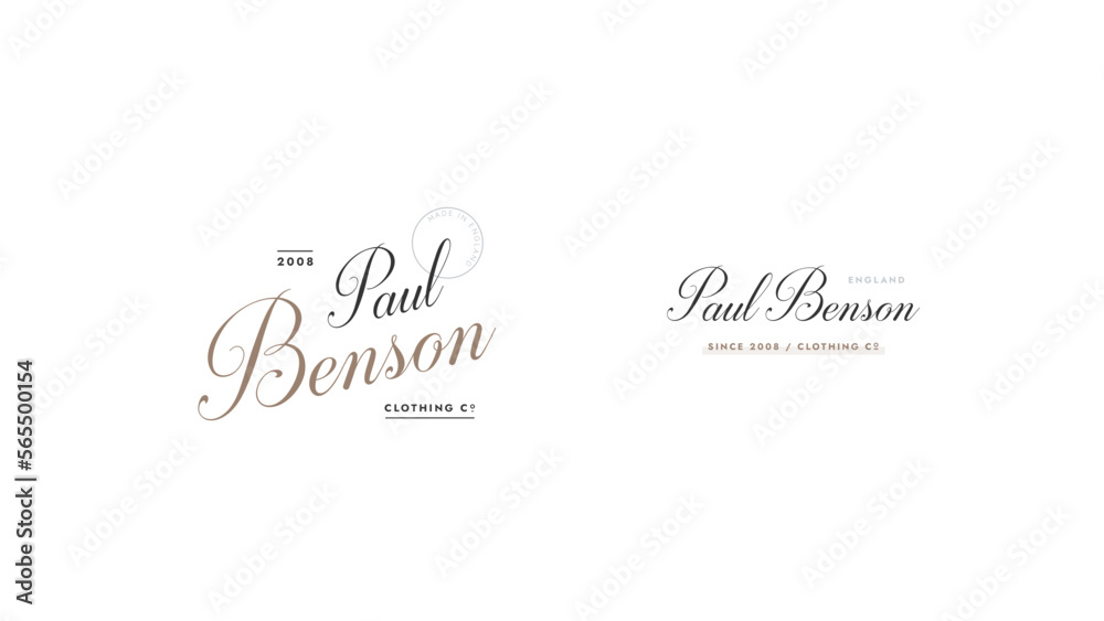 elegant business logo template