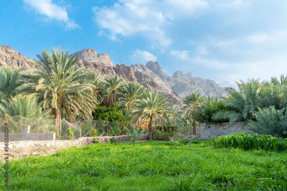 saudi arabian mountains with greenery 