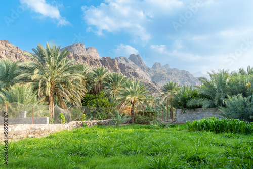 saudi arabian mountains with greenery 