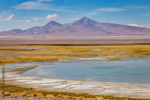 Salt lake  volcanic landscape at Sunset  Atacama  Chile border with Bolivia
