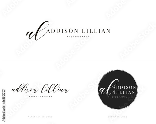 elegant business logo template