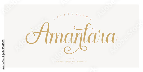 Luxury wedding alphabet letters font. Typography elegant classic lettering serif fonts and number decorative vintage retro with tails concept. vector illustration