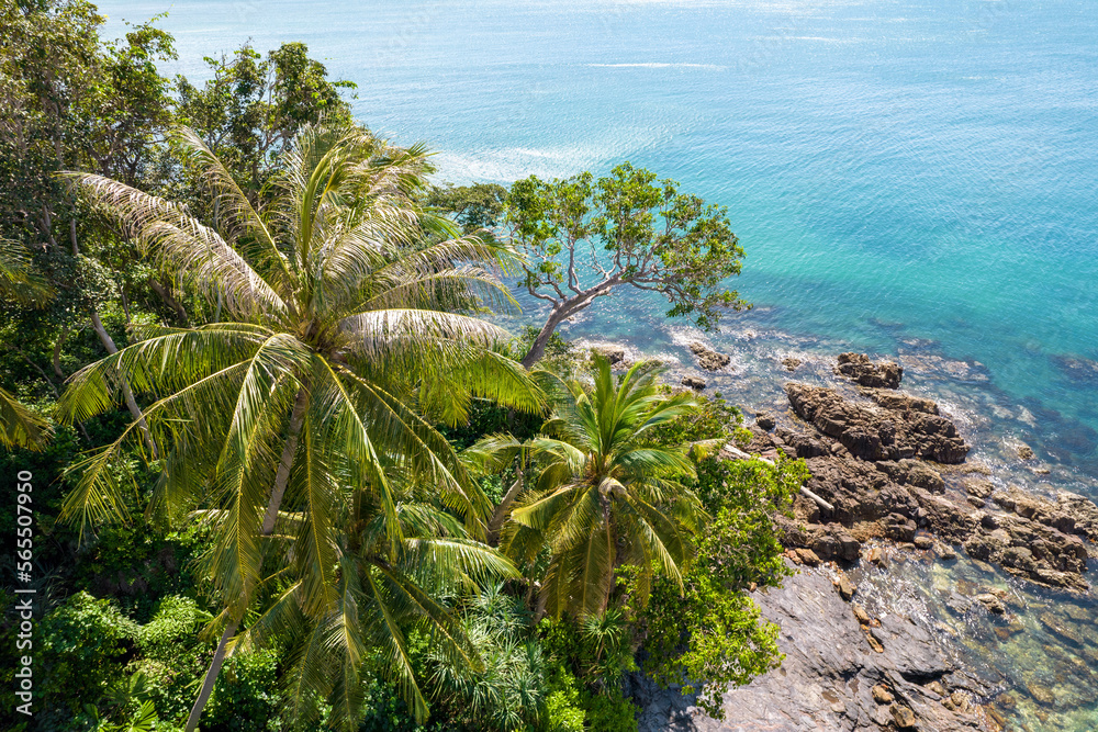 View of tropical trees and Andaman Sea on sunny day. Ko Lanta island, Krabi Province, Thailand.