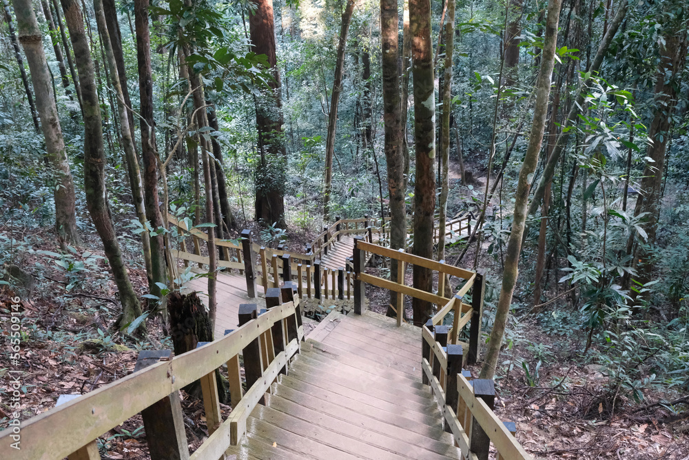 Wooden stairs on Dragon's Crest (Ngon Nak) Nature Trail. Krabi Province, Thailand.