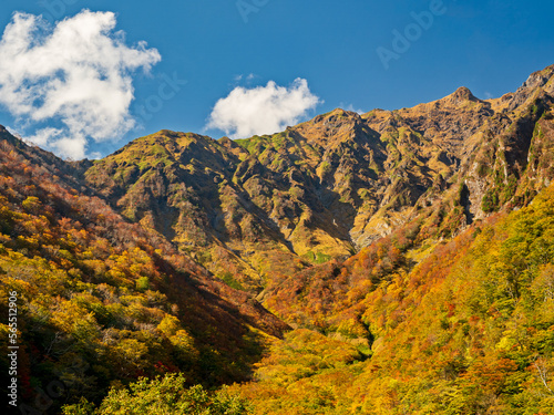 マチガ沢から望む谷川岳の紅葉