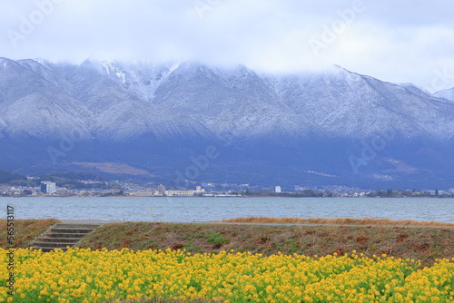 琵琶湖岸の冬景色