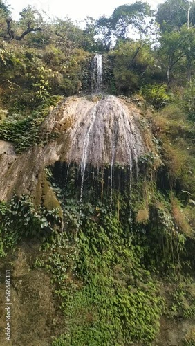 waterfall in the forest