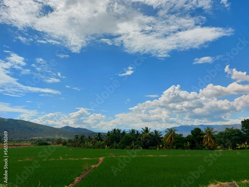 valle de arroz