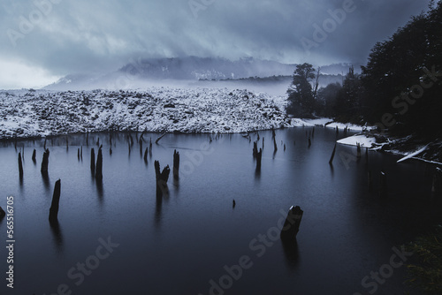 A frozen lake with tree trunks in COnguil