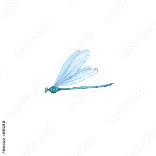 Green Dragonfly with detailed wings isolated. Watercolor hand drawn realistic flying insect llustration for design