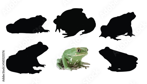silhouette of frog
