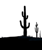Cactus are seen in silhouette in an image that is on a transparent background.