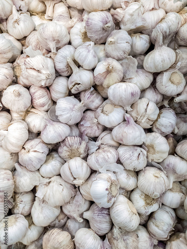 Large stocks of garlic in the store. Garlic on the shelves of the supermarket and market. Fresh vegetables. Vitamins. Garlic as a background
