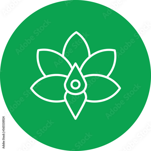 Orchid Flower Icon