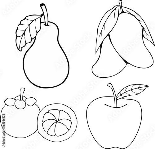 set of pears vector sketch of four kinds of fruits