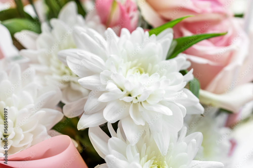 Floral background. Different flowers as natural backdrop. Floral background. Different flowers as natural backdrop.