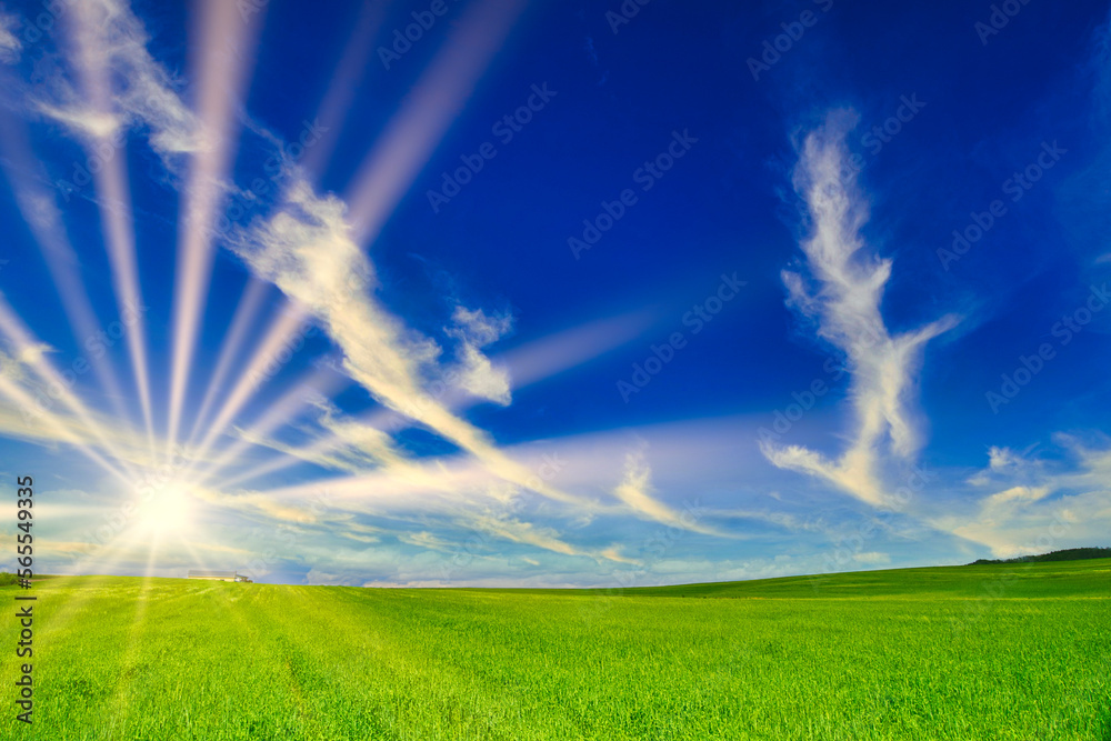 Obraz premium 北海道の美しい田園風景