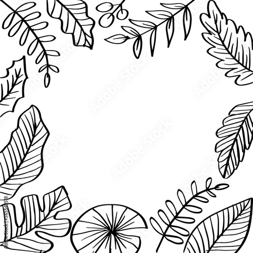 Wallpaper Mural  Hand Drawn Doodle Leaves  frame.  Torontodigital.ca