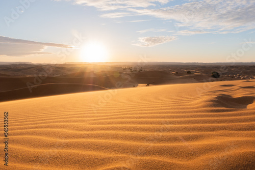 The vast orange dunes of the Sahara desert and its barren vegetation © Alessandro Vecchi