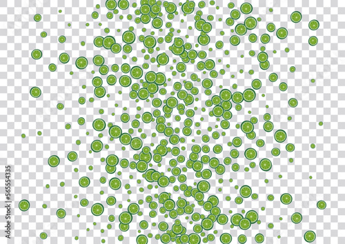 Bright Lemon Background Transparent Vector. Fly Pattern. Mint Citrus Graphic. Tiled Citrus Greenish Pattern.