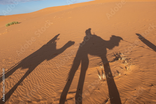 Shadows of a couple on camel dromedaries on the sand dunes