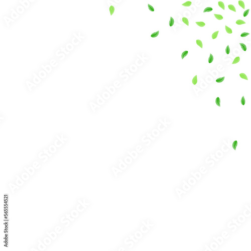 Greenish Leaves Background White Vector. Greenery Healthy Frame. Silhouette Design. Green Bio Illustration. Plant Peaceful.