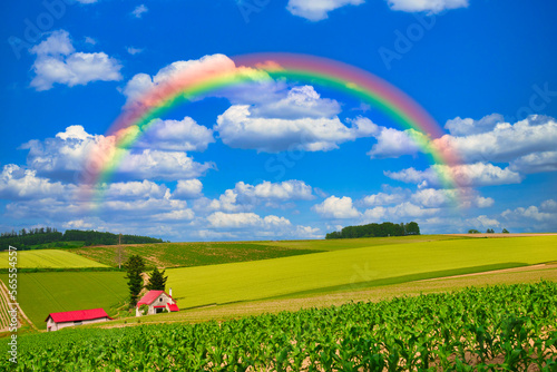 丘の町・美瑛の美しい田園風景