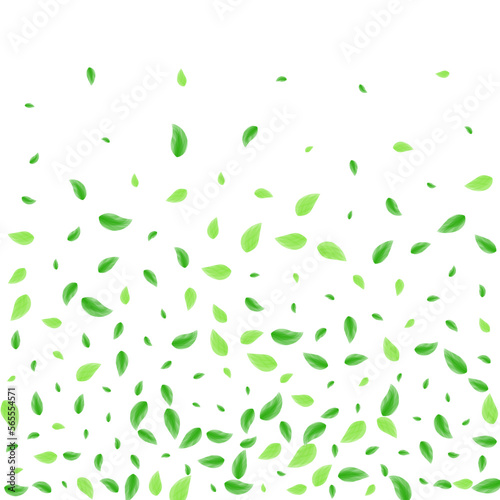Light Green Leaves Background White Vector. Leaf Clear Frame. Park Card. Green Isolated Design. Sheet Shape.
