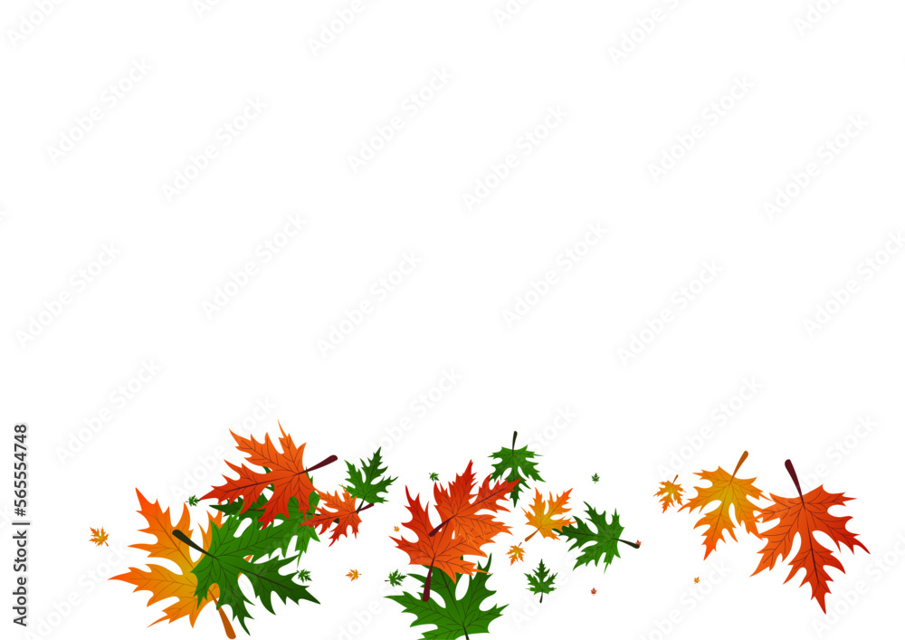Yellow Leaves Background White Vector. Floral Forest Illustration. Brown October. Wallpaper Texture. Green Leaf Giving. Yellow Leaves Background White Vector. Floral Forest Illustration. Brown October. Wallpaper Texture. Green Leaf Giving.