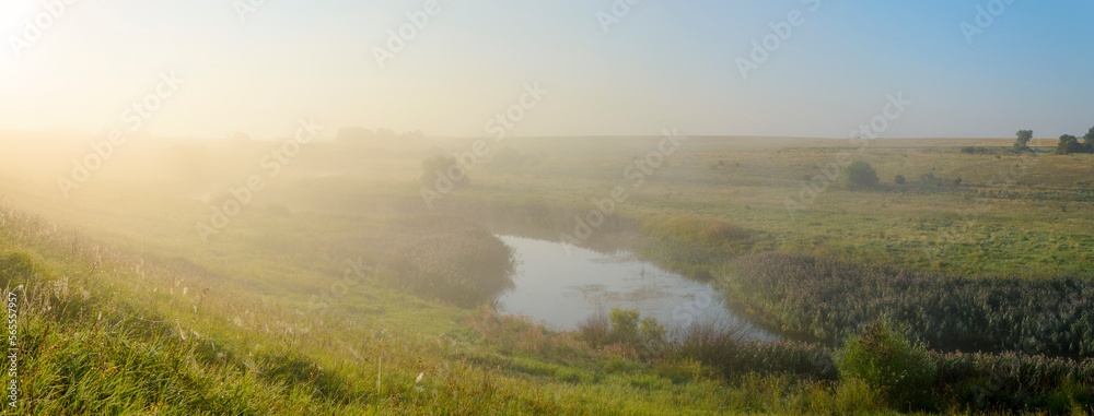 Obraz premium Summer foggy morning landscape with green meadows and calm river