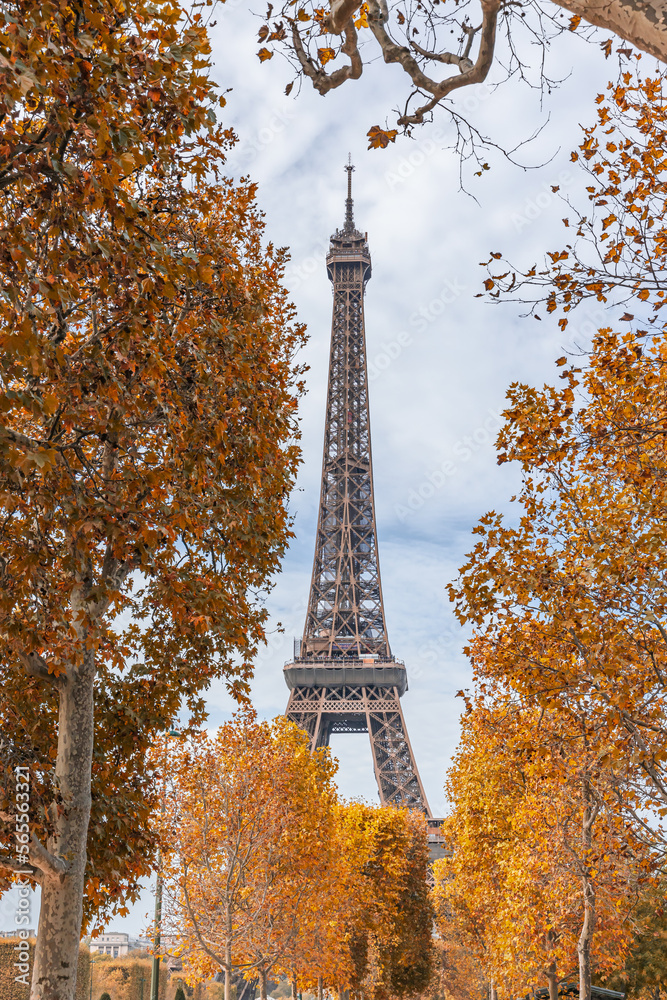 Eiffel Tower surrounded by colored leaves on a day of Autumn in October in Paris, France