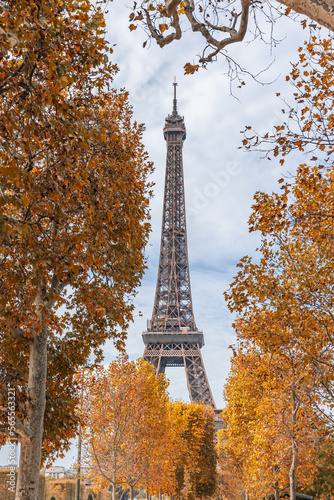 Eiffel Tower surrounded by colored leaves on a day of Autumn in October in Paris, France © JeanLuc Ichard