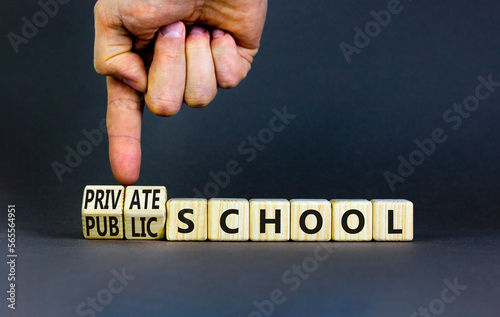 Public or private school symbol. Concept word Public school Private school on wooden cubes. Beautiful grey background. Teacher hand. Education Public or private school concept. Copy space.
