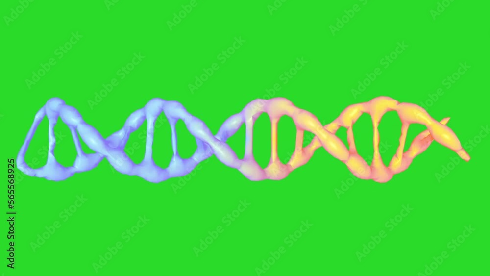 DNA molecules animation on a green screen. 3d rendering. Biotechnology, biochemistry, genetics and medicine concept. DNA chain. DNA molecules animation on a green screen. 3d rendering. Biotechnology, biochemistry, genetics and medicine concept. DNA chain.