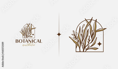 Abstract Plant Botanical Flower Line Art Line Drawing. Universal creative premium symbol. Vector illustration. Creative Minimal design template