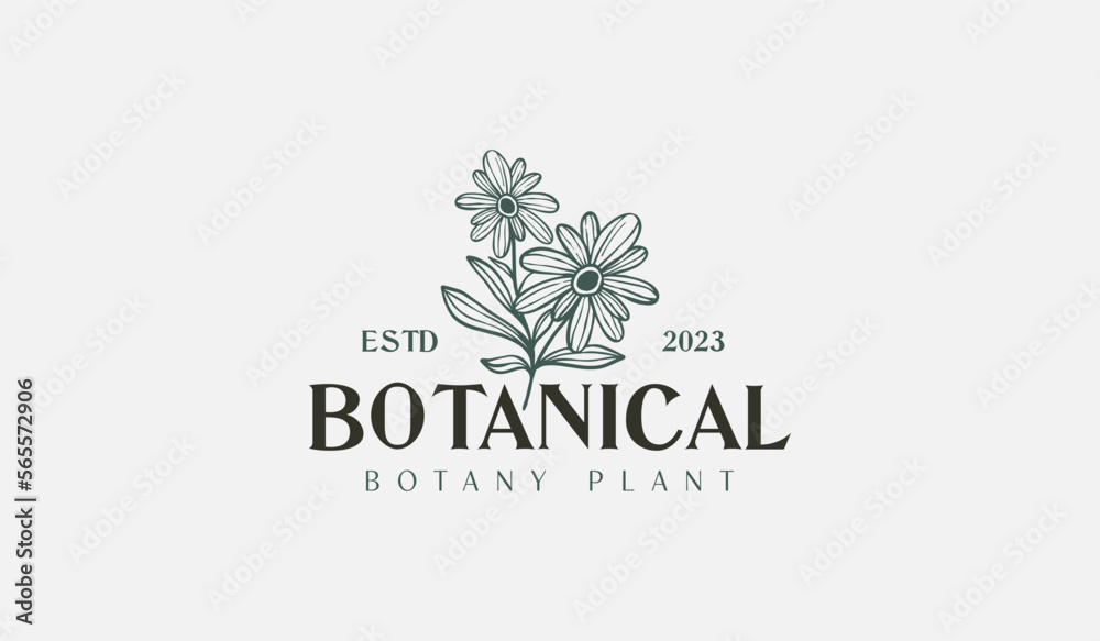 Abstract Plant Botanical Flower Line Art Line Drawing. Universal creative premium symbol. Vector illustration. Creative Minimal design template Abstract Plant Botanical Flower Line Art Line Drawing. Universal creative premium symbol. Vector illustration. Creative Minimal design template