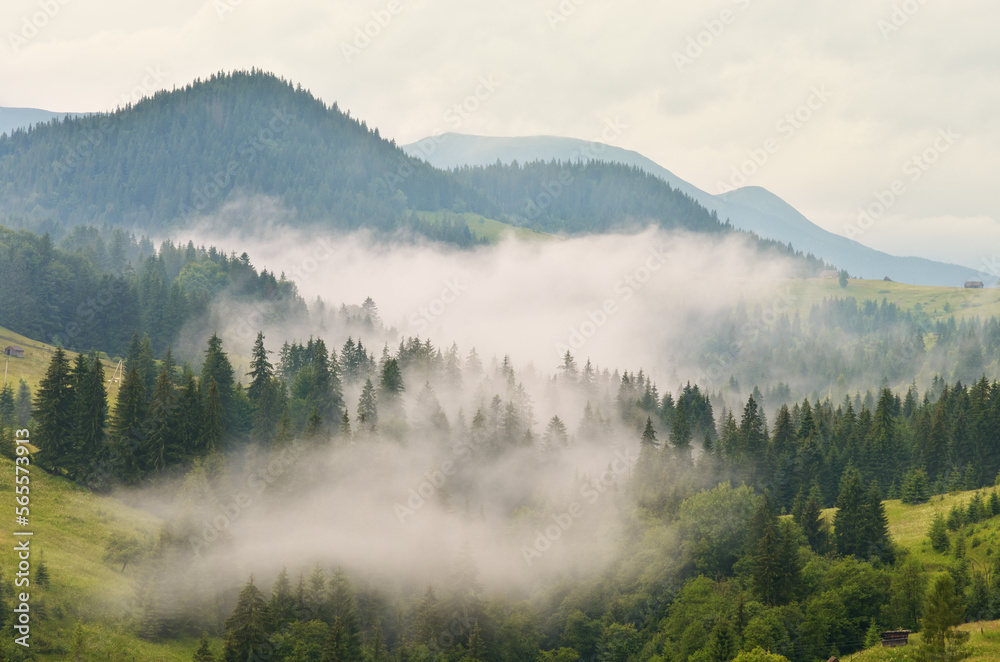 Fototapeta premium Carpathian mountain range at early morning sunrise.