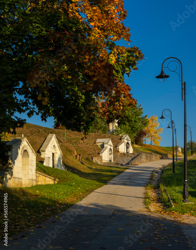 Traditional wine cellars in Tolcsva, Great Plain, North Hungary photo