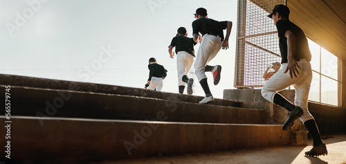 Fototapeta Naklejka Na Ścianę i Meble -  Baseball team, exercise and sport stadium training of professional athlete group doing a workout. Running, softball and cardio of sports game people doing a action run to pitch on field with mockup