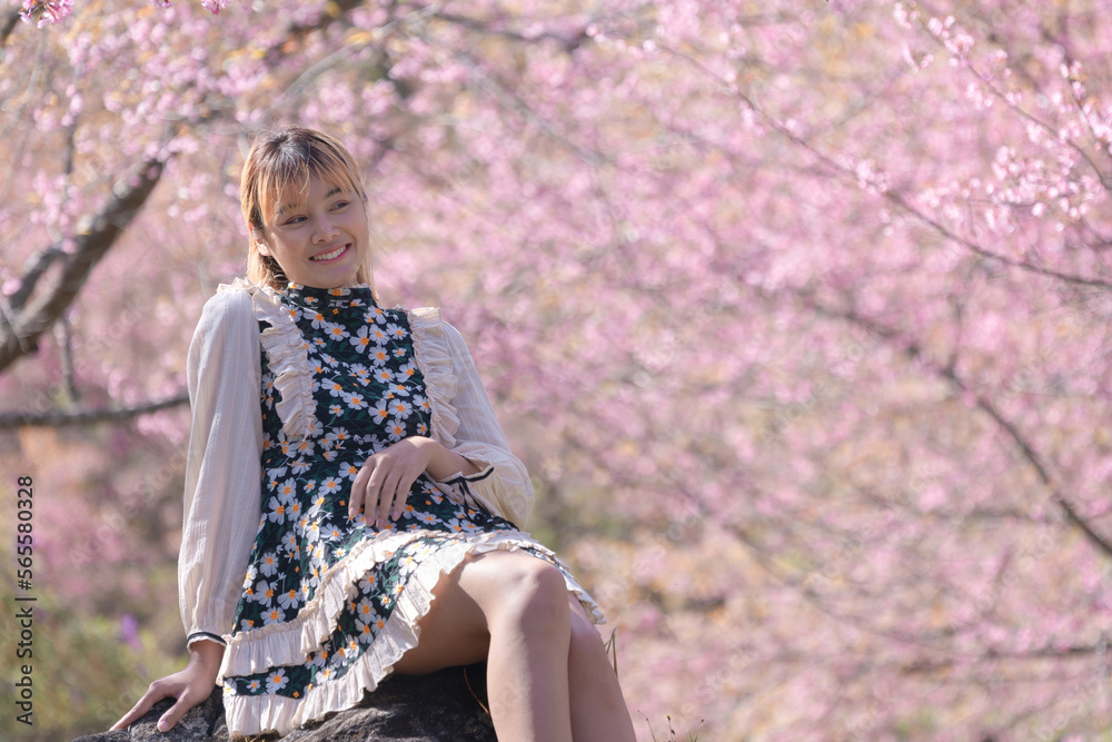 Teenage girl happy in the fresh beautiful Wild Himalayan, Cherry pink blossom Sakura flowers full bloom in the park joyful holiday vacation. Concept portrait young girl fashion loves nature. Teenage girl happy in the fresh beautiful Wild Himalayan, Cherry pink blossom Sakura flowers full bloom in the park joyful holiday vacation. Concept portrait young girl fashion loves nature.