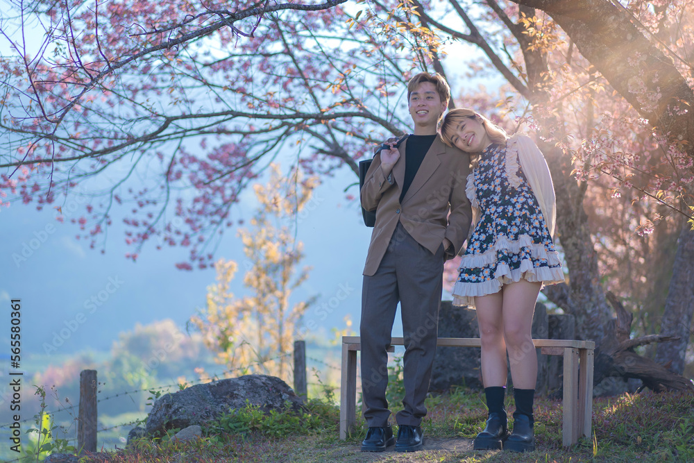 Young couple Teenage happy in the fresh beautiful Cherry pink blossom Sakura flowers full bloom in the park with a joyful vacation. Valentine's day lover of young fashion nature. Young couple Teenage happy in the fresh beautiful Cherry pink blossom Sakura flowers full bloom in the park with a joyful vacation. Valentine's day lover of young fashion nature.