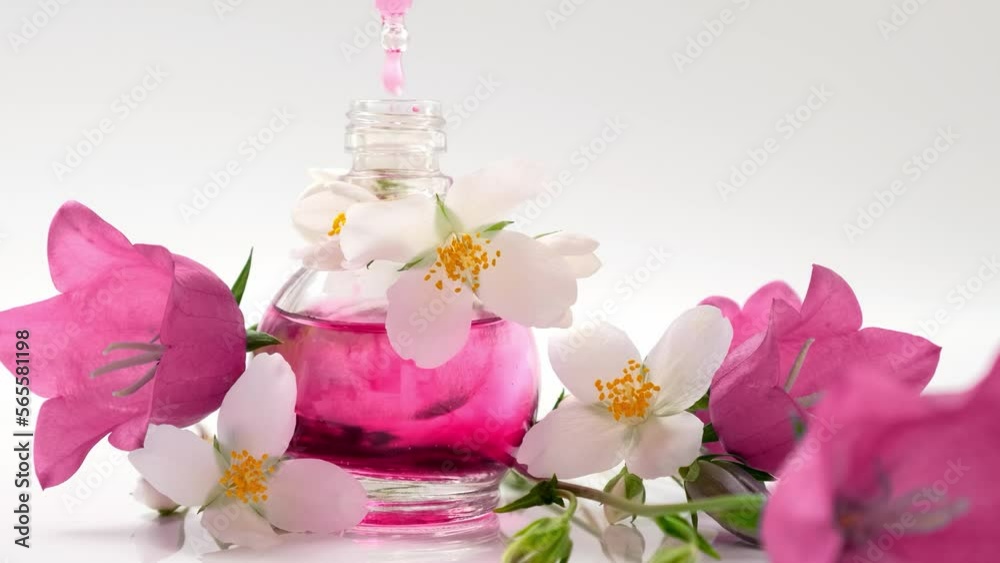 Floral perfume. Oil Essence with Flowers, Drops falling from cosmetic pipette to glass bottle with perfume. Skin and body care. Aroma herbal liquids Perfumery Floral perfume. Oil Essence with Flowers, Drops falling from cosmetic pipette to glass bottle with perfume. Skin and body care. Aroma herbal liquids Perfumery