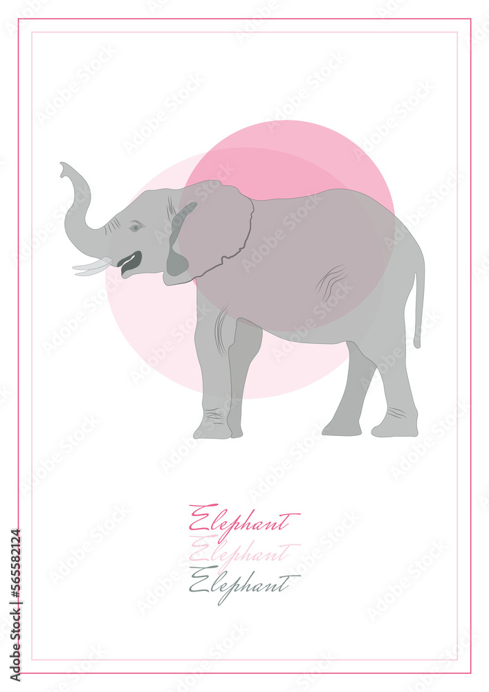 Fototapeta premium elephant illustration on background