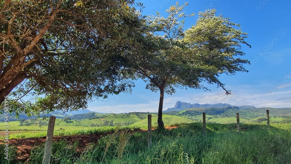 Fototapeta premium Caminhando com o pico