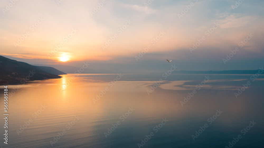 A seagull flies near the island of Brac, Croatia at dawn