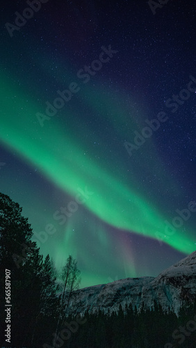 Northern lights/ Aurora Borealis, Northern Norway © Petr