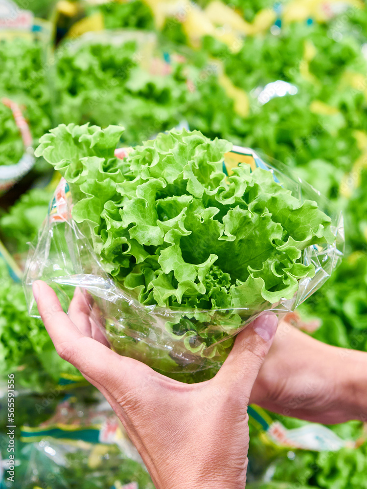 Hands with lettuce leaves in store
